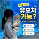 메고지고 왕길오류점 | [공지] 6개월 아기랑 롯데월드 아쿠아리움 솔직후기(주차, 할인, 수유실, 깐깐맘 PICK)