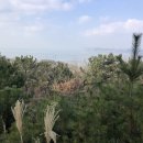 바닷가농원 이미지