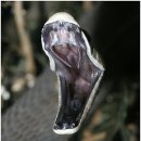 세계에서 가장 위험한 파충류 블랙맘바(black mamba) (뱀주의) 이미지