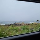 라비스테이 이미지