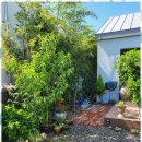 애월 고즈넉 이미지