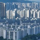 1305 시사저널