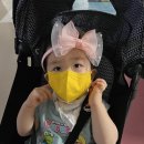 비룡경희대석사태권도장 이미지