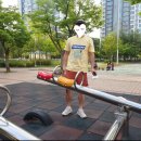 와우어패럴