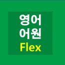 플렉스(FLEX) 이미지