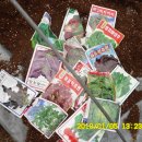 쌈채우리 이미지