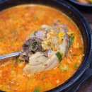 진지한국밥 | 잠실맛집/ 프로혼밥러의 또간집, 진지한국밥 잠실롯데월드점 솔직 후기 (순대국밥 vs 얼큰 vs 육개장 비교)