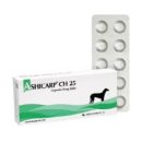 금성당약국 이미지