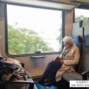 보건복지행정사사무소 이미지