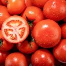 라면, 된장국 먹은 후 방울토마토 후식....몸에 어떤 변화가? 이미지