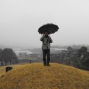 정구묘역 이미지