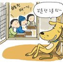 서당개