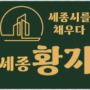 세종부동산중개 네이버블로그