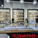 안경박사전대점 이미지