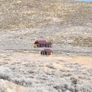 은광세탁소 이미지