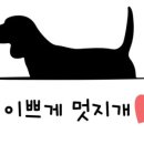 이쁘개멋지개 이미지