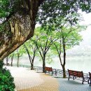 들꽃향기머무는곳 이미지