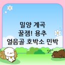 얼음골폭포민박 이미지