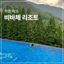 비바체 하동호 리조트 | 하동 여행 숙소 비바체리조트 스위트트윈 솔직후기, 하동호 인피니티 풀 수영장