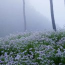 호숫가 펜션 이미지