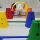 뚱이하우스 이미지