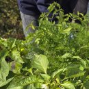 율하농장 이미지