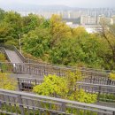 영축산 순환산책로 이미지