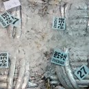 최강낙지 이미지