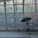 두 번째 YMCA 라이프가드 갱신 교육 후기