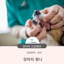 청학동물병원 이미지