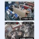 도야짬뽕 신내직영점 이미지