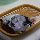 우리나라횟집