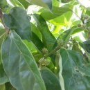 가실농장 이미지