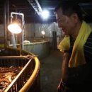 서민장어 이미지