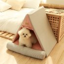 강아지네 애견하우스 이미지