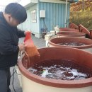 청양군농업기술센터 이미지