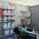 서울샤인동물병원 이미지