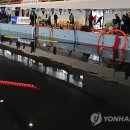 제주종합경기장 실내수영장 이미지