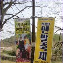 [4월 10일(일요일)]대전 대덕 계족산 황토길 트래킹 이미지