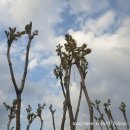 에스겔-푸름농장 이미지