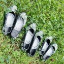 꽃신 구절초 이미지