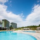 라카이샌드파인 이미지