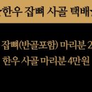 가가미트 이미지