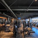 러쉬 휘트니스 이미지