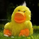 강장심리발달연구소 | 늘품심리발달연구소 직접 방문해본 상담 서비스 후기