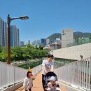 솔고부산영도점 | 전시▶️ [부산 영도] 이슬로 특별전 하모니 해양미술페스티벌 영도커피페스티벌 _숨가쁜 영도 당일치기 코스