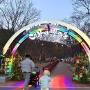 오라숲소리 | 고령 대가야 빛의숲 빛축제 후기｜아이랑 가볼만한 경북 야경 명소 추천