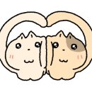 카페마타마타전포점