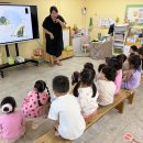 🎨 빛을 만나 나타난 알록달록 그림자와 🌳 으쌰으쌰! 신나는 손바닥 씨름 이미지