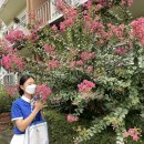 신명고등학교 이미지